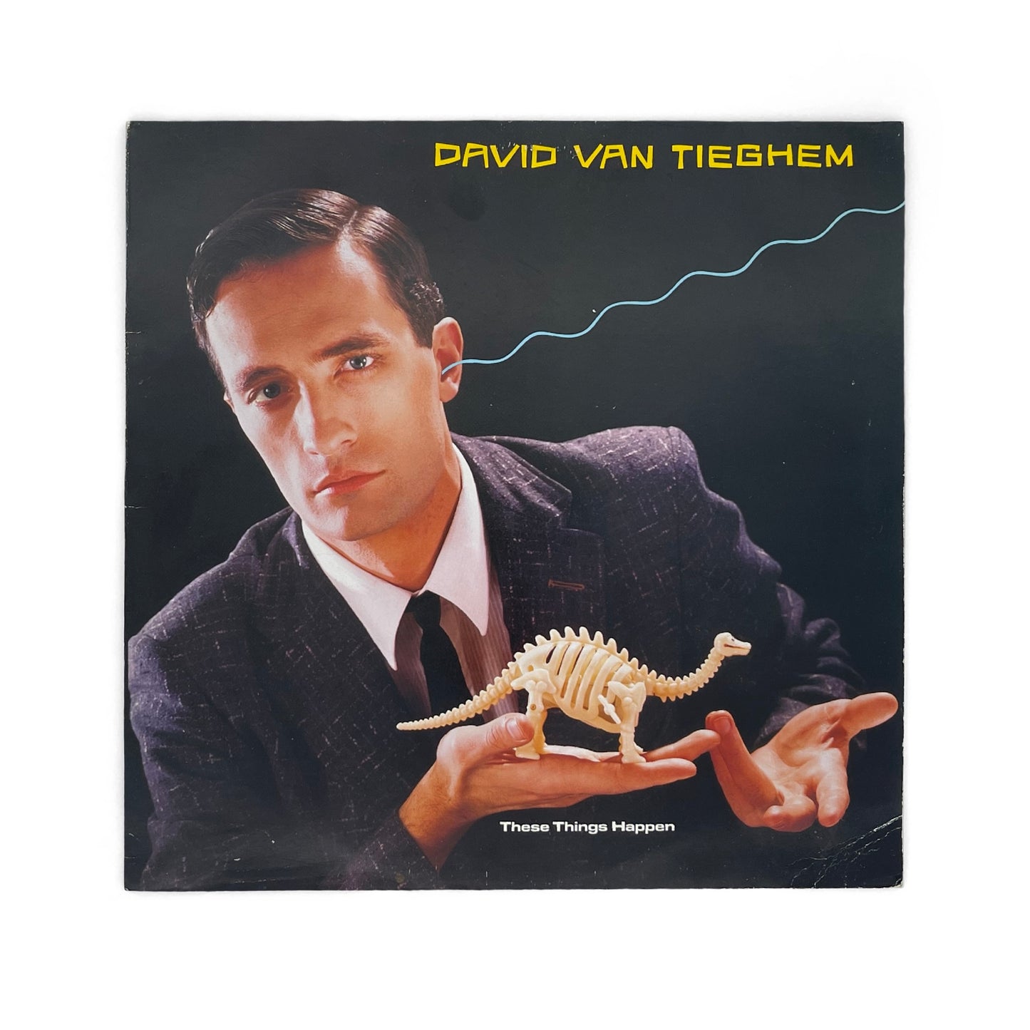 David Van Tieghem - These Things Happen