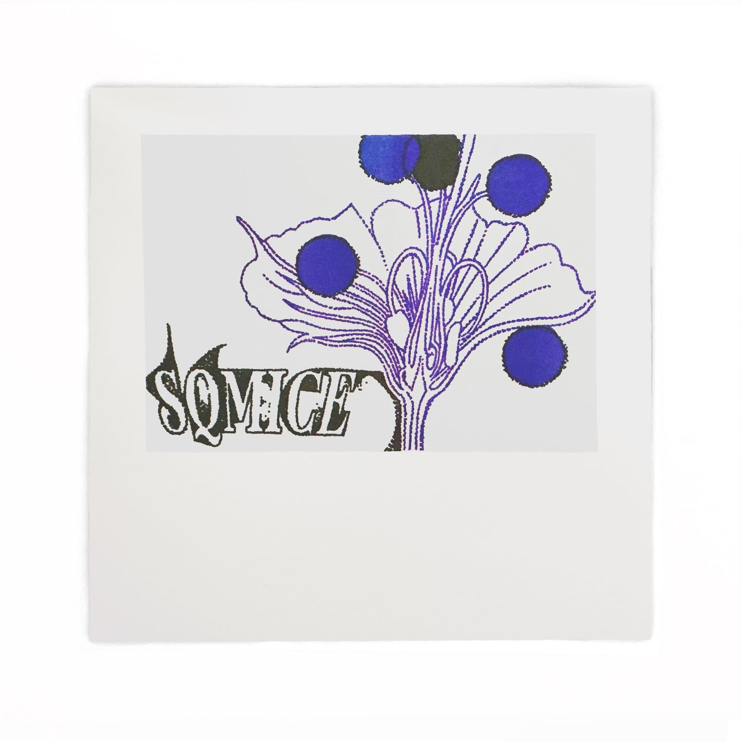 SQ Mice - SQ Mice