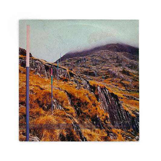 Section 25 - From The Hip