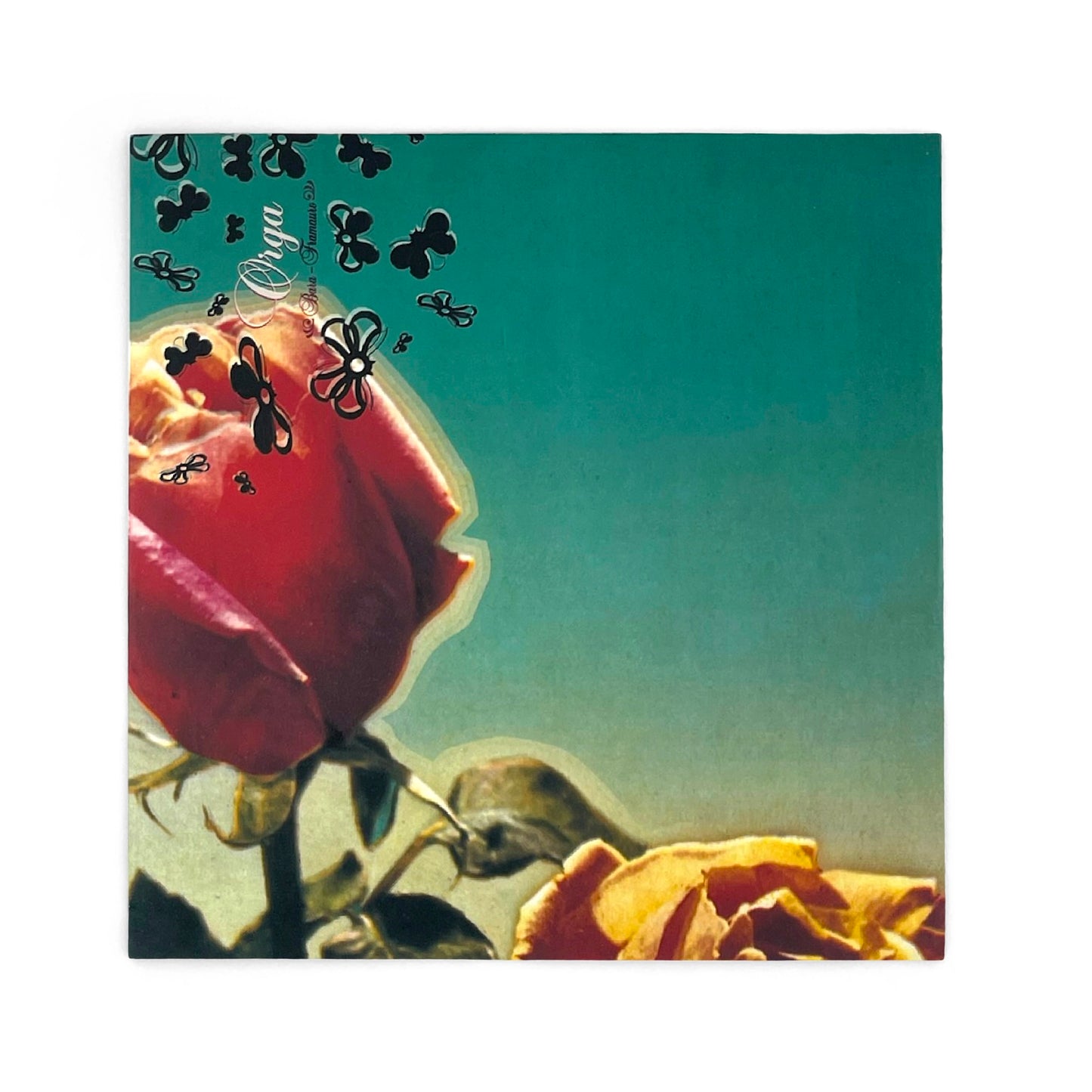 Orga - Bara / Framauro