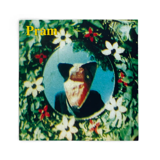 Pram - Telemetric Melodies