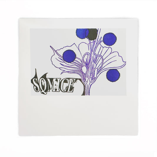 SQ Mice - SQ Mice